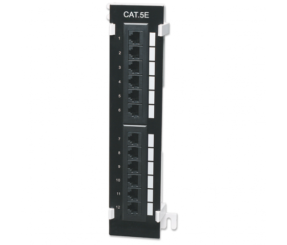 Panneau de brassage mural Cat5e 12 ports