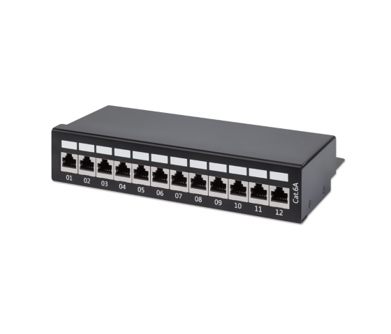 Panneau de brassage Cat6 12 ports