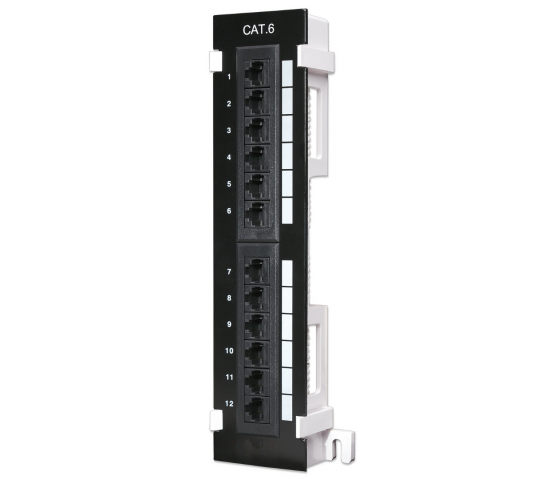 Panneau de brassage mural Cat6 12 ports