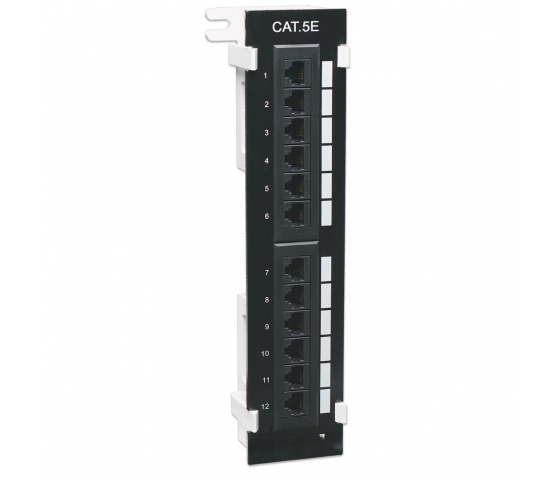 Panneau de brassage mural Cat5e 12 ports