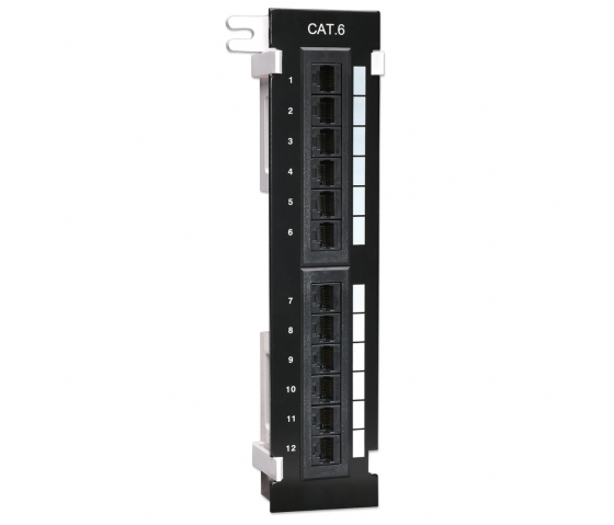 Panneau de brassage mural Cat6 12 ports