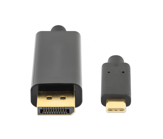 Câble adaptateur USB-C vers DisplayPort - 2 mètres - noir