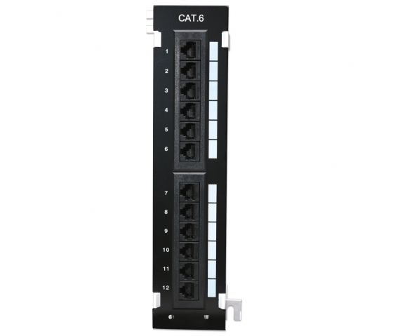Panneau de brassage mural Cat6 12 ports