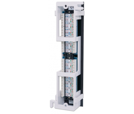 Panneau de brassage mural Cat5e 12 ports