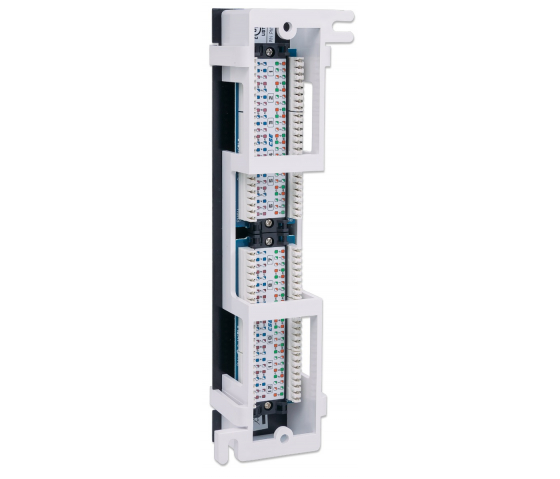 Panneau de brassage mural Cat5e 12 ports