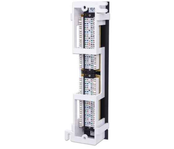Panneau de brassage mural Cat6 12 ports