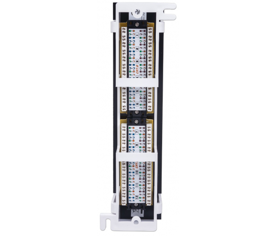 Panneau de brassage mural Cat6 12 ports
