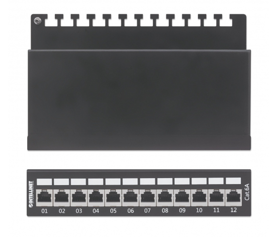 Panneau de brassage Cat6 12 ports