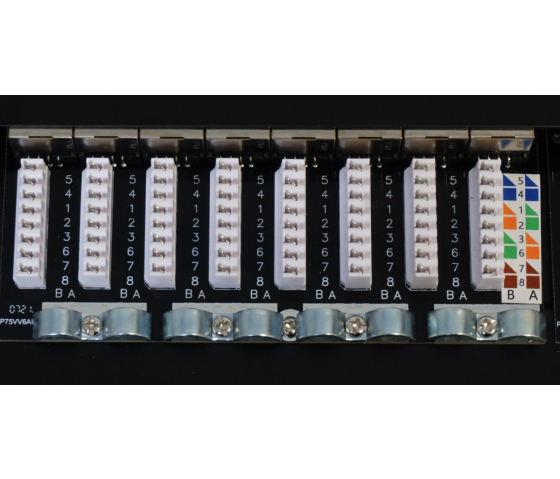 Panneau de brassage protégé Cat6a 24 ports - 0.5U 19