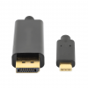 Câble adaptateur USB-C vers DisplayPort - 2 mètres - noir