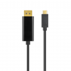Câble adaptateur USB-C vers DisplayPort - 2 mètres - noir