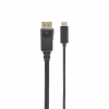 Câble adaptateur USB-C vers DisplayPort - 1 mètre - noir