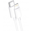 Câble USB-C vers Lightning 1m